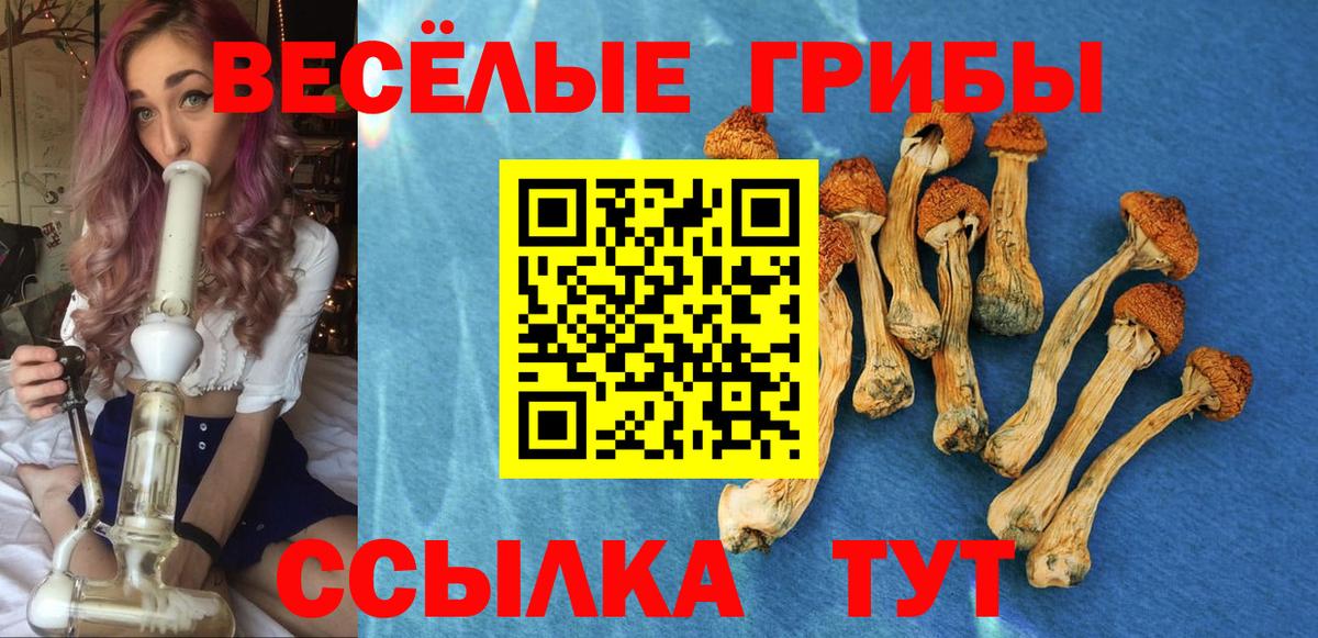 Галлюциногенные грибы ЛСД Жигулёвск