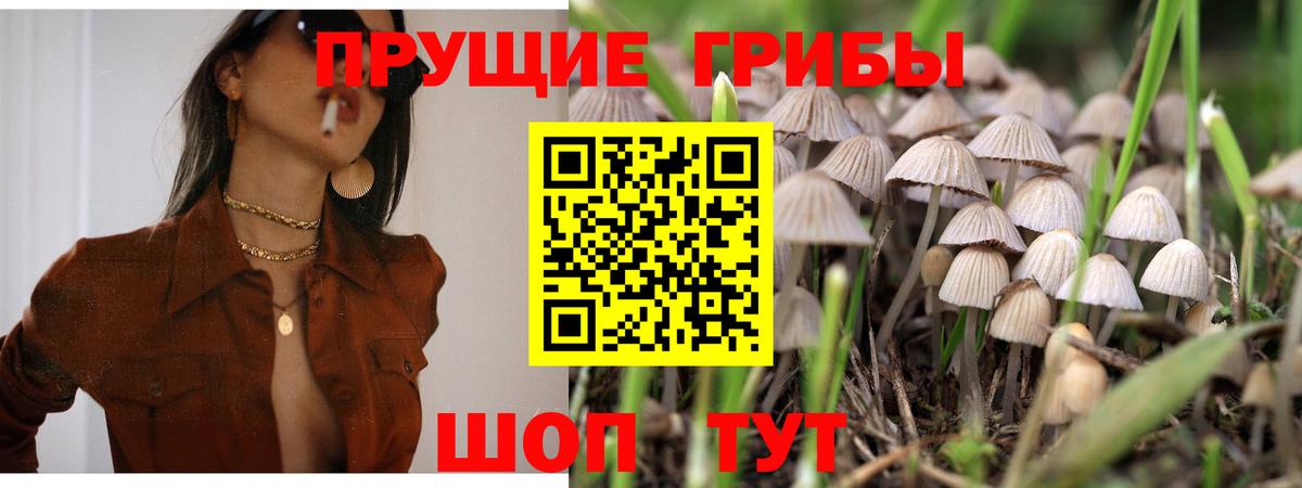 Жигулёвск  как найти закладки  Вход с VPN  Галлюциногенные грибы MAGIC MUSHROOMS 